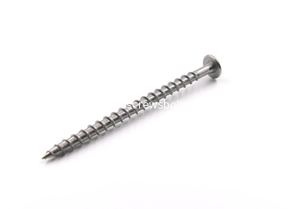الصين رأس Torx المسمار الذاتي النقر الفولاذ المقاوم للصدأ المزود