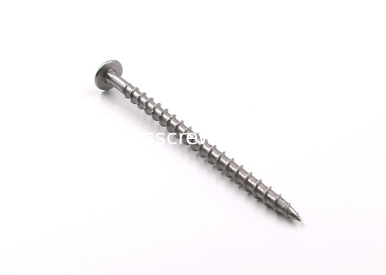 رأس Torx المسمار الذاتي النقر الفولاذ المقاوم للصدأ المزود