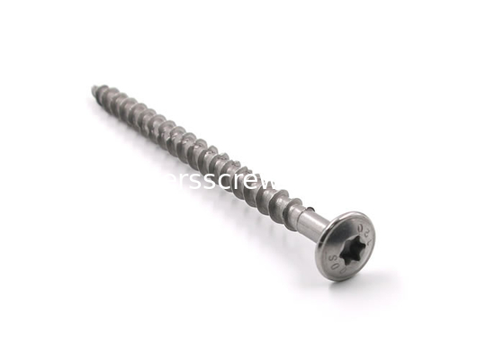 رأس Torx المسمار الذاتي النقر الفولاذ المقاوم للصدأ المزود